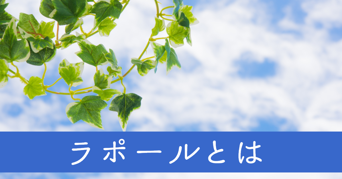 空と葉っぱ